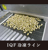 IQF冷凍ライン